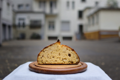 Monthly Championship August 2025 - Platz 8 - Ø 6,19 Punkte