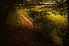 Monthly Championship August 2025 - Platz 4 - Ø 6,61 Punkte