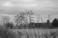 Monthly Championship November 2025 - Platz 8 - Ø 5,61 Punkte