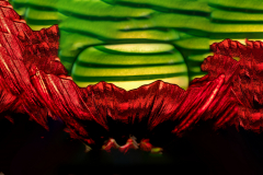 Herbstmeisterschaft 2025 - Platz 5 - Ø 6,33 Punkte