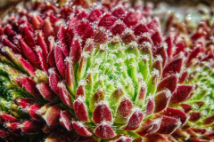 Herbstmeisterschaft 2025 - Platz 3 - Ø 6,52 Punkte