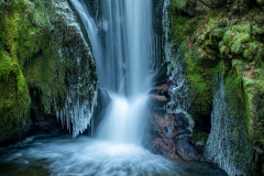 Monthly Championship Januar 2026 - Platz 3 - Ø 7,08 Punkte