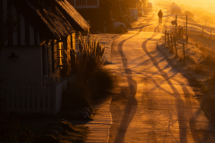 Monthly Championship Januar 2026 - Platz 6 - Ø 6,54 Punkte