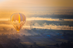 Monthly Championship Januar 2026 - Platz 5 - Ø 6,63 Punkt