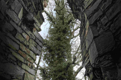 Monthly Championship Januar 2026 - Platz 10 - Ø 5,79 Punkte