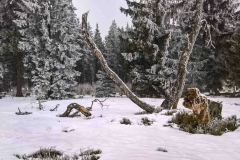 Monthly Championship Februar 2026 - Platz 9 - Ø 5,83 Punkte