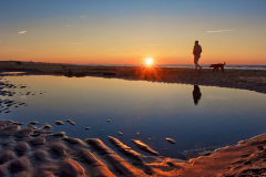 Monthly Championship Februar 2026 - Platz 4 - Ø 6,75 Punkte