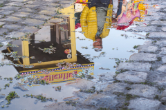 Monthly Championship Februar 2026 - Platz 5 - Ø 6,63 Punkte