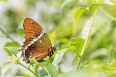 Monthly Championship Februar 2026 - Platz 6 - Ø 6,54 Punkte