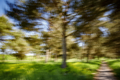 Monthly Championship September 2025 - Platz 2 - Ø 6,47 Punkte