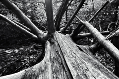 Monthly Championship September 2025 - Platz 3 - Ø 6,33 Punkte