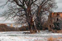 Frühlingsmeisterschaft 2026 - Platz 4 - Ø 6,67 Punkte