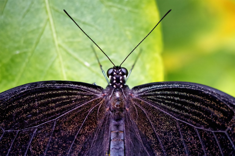 01-2048_rainerP3170832