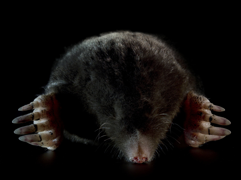 210-259 Front4 aus RAW 2024-12-02 11-04-26 (B,R8,S4)