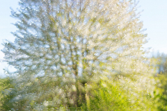 Unsichtbare-Bilder_06 Unsichtbare-Bilder_06