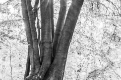 Unsichtbare-Bilder_09 Unsichtbare-Bilder_09