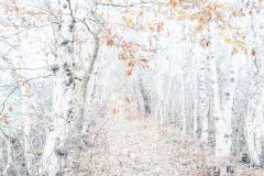 Unsichtbare-Bilder_10 Unsichtbare-Bilder_10