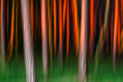 Unsichtbare-Bilder_11 Unsichtbare-Bilder_11