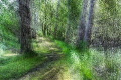 Unsichtbare-Bilder_12 Unsichtbare-Bilder_12