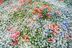 Unsichtbare-Bilder_13 Unsichtbare-Bilder_13