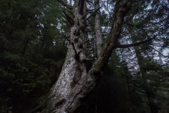 Unsichtbare-Bilder_15 Unsichtbare-Bilder_15