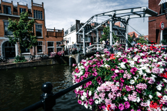 Leiden-48-von-72