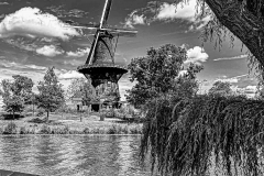leiden3