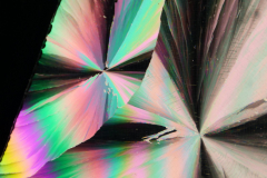 8f65d650c457c09ac23d44e0ffd44a08b1abee86e10b5ec249cd73ff292d4f32