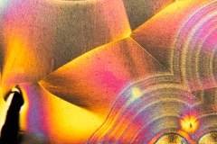 Ascorbinsaeure-Kopie