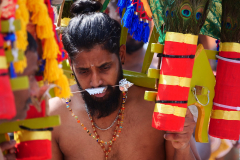 Wuppertaler Tempelfest 2025