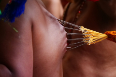 Wuppertaler Tempelfest 2025