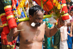 Wuppertaler Tempelfest 2025