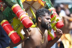 Wuppertaler Tempelfest 2025