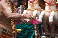 Wuppertaler Tempelfest 2025