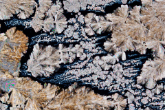 Kristalllandschaft-II_Vitamin-C Kristalllandschaft-II_Vitamin-C