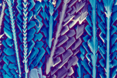 Kristalllandschaft-IV_Beta-Alanin Kristalllandschaft-IV_Beta-Alanin