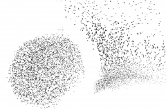 Starenschwaerme Starenschwaerme