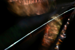 Anja-Sander_Libelle-1_kleinjpeg