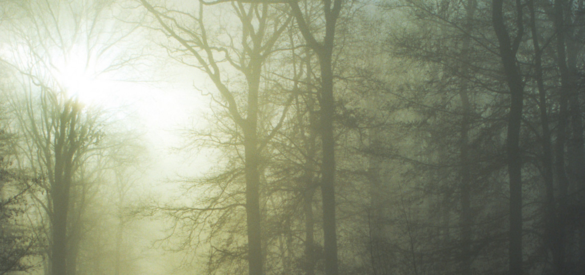 Neujahrsspaziergang 2026