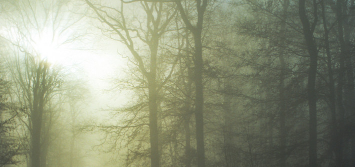 Neujahrsspaziergang 2026