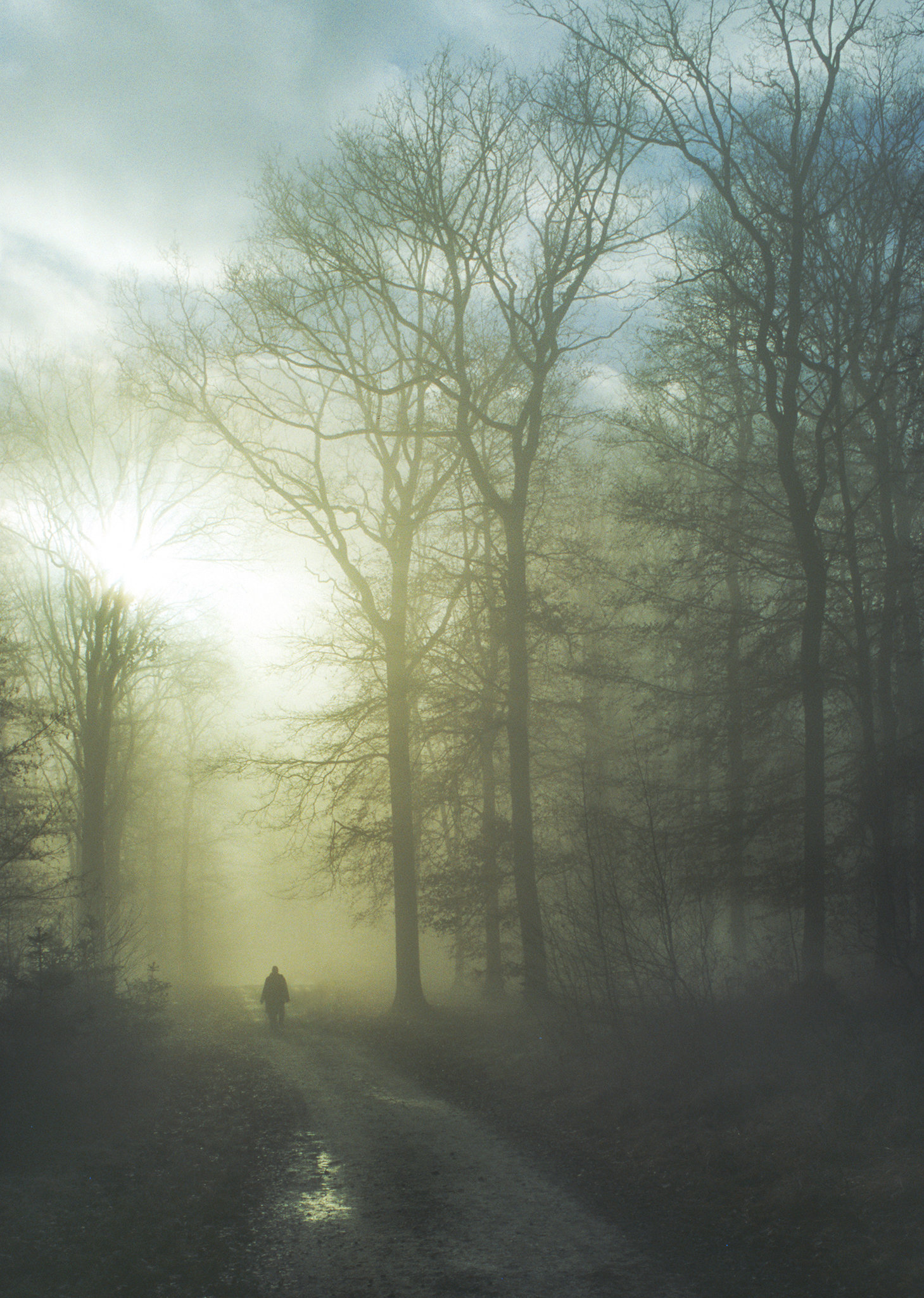 Neujahrsspaziergang 2026