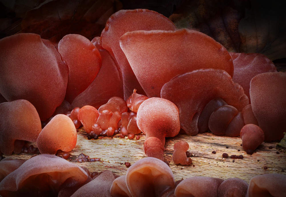 02-2023-01-16-10-53-02-br8s4-2048